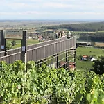 Feriehus Weingarten Eisenberg *