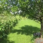 Weingarten Eisenberg *