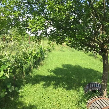 Weingarten Eisenberg *