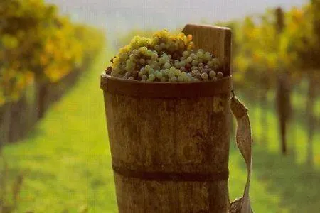 Weingarten Eisenberg *