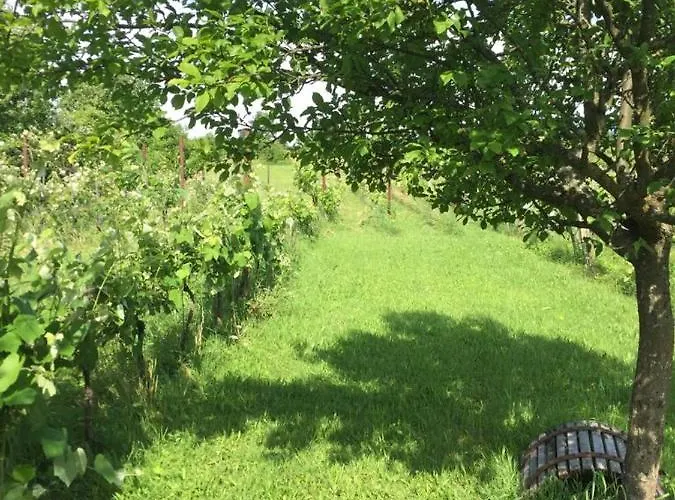 Weingarten Eisenberg *